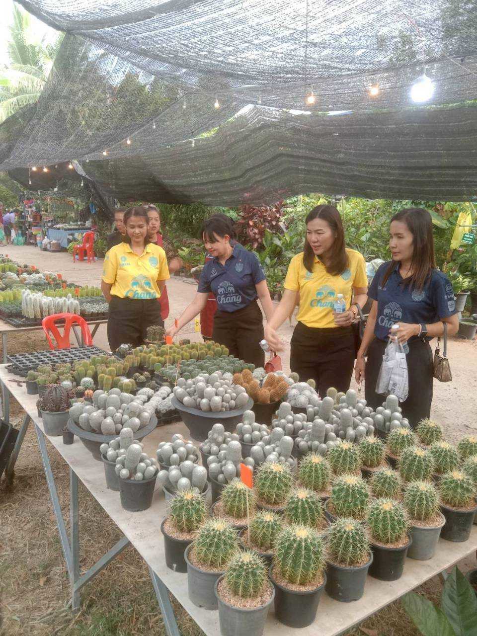 ช้อปเพลิน เดินชิลล์ : ตลาดต้นไม้แบบฟิน ๆ