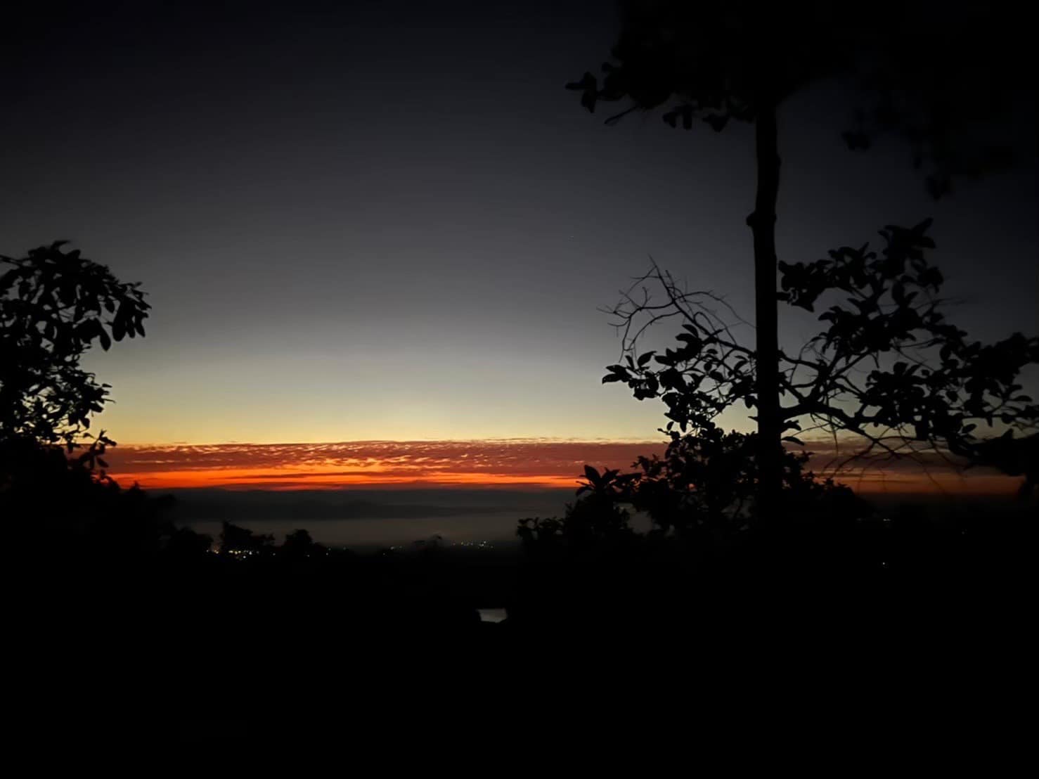 First Light Journey  เส้นทางสู่แสงแรกเหนือผืนป่า