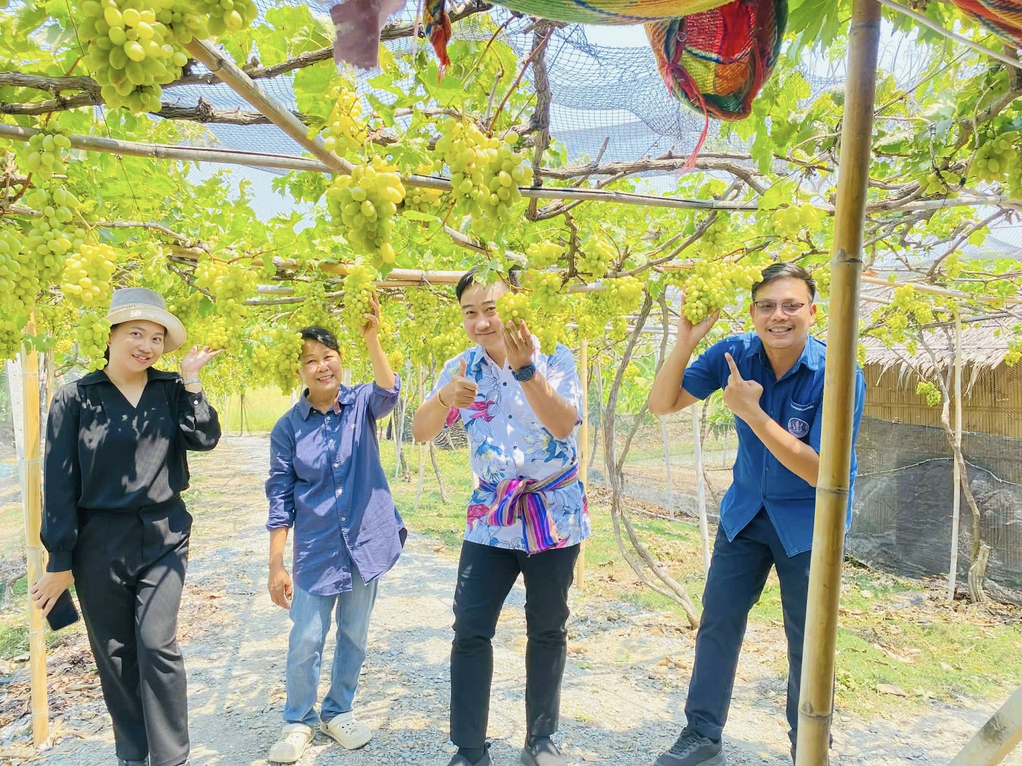 ชิม ช็อป แชะ กับสวนองุ่น
