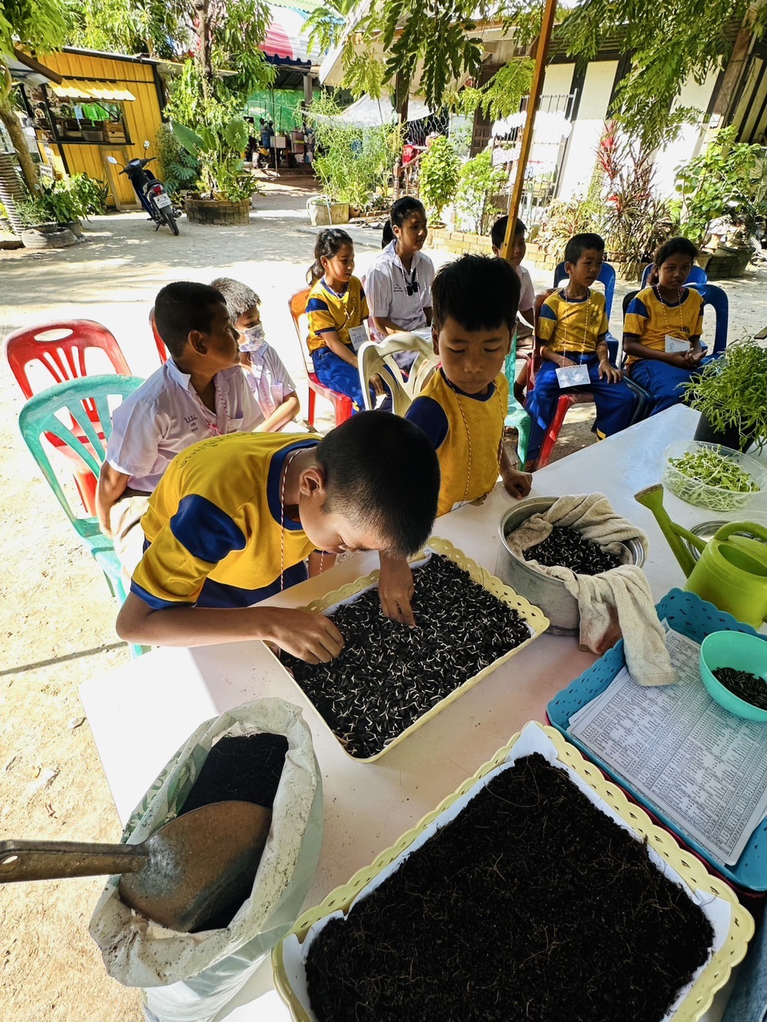 กิจกรรมฐานเรียนรู้ “ต้นอ่อนสอนงอก” จากการเพาะต้นอ่อนผักบุ้ง ทานตะวัน