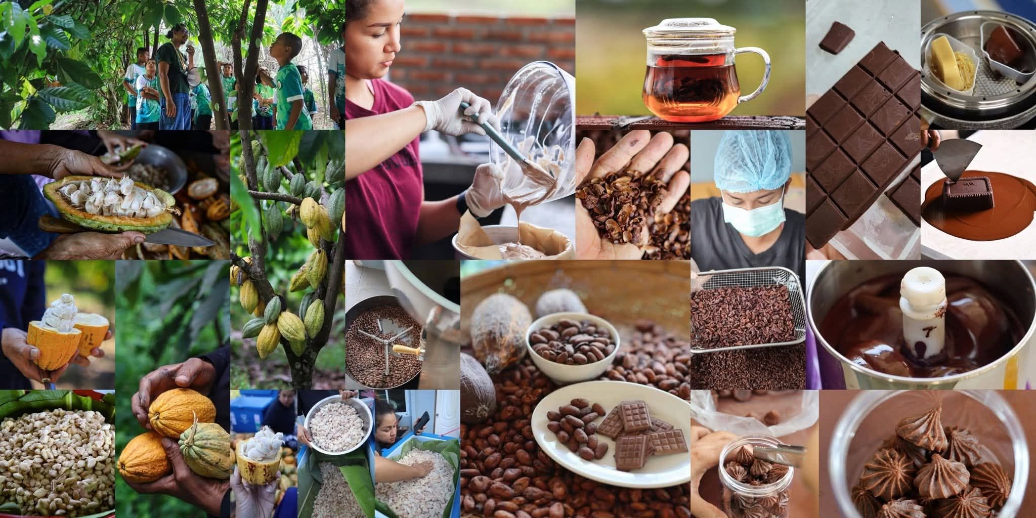 เวิร์กชอปแปรรูปโกโก้และช็อกโกแลต (Chocolate Making Workshop)