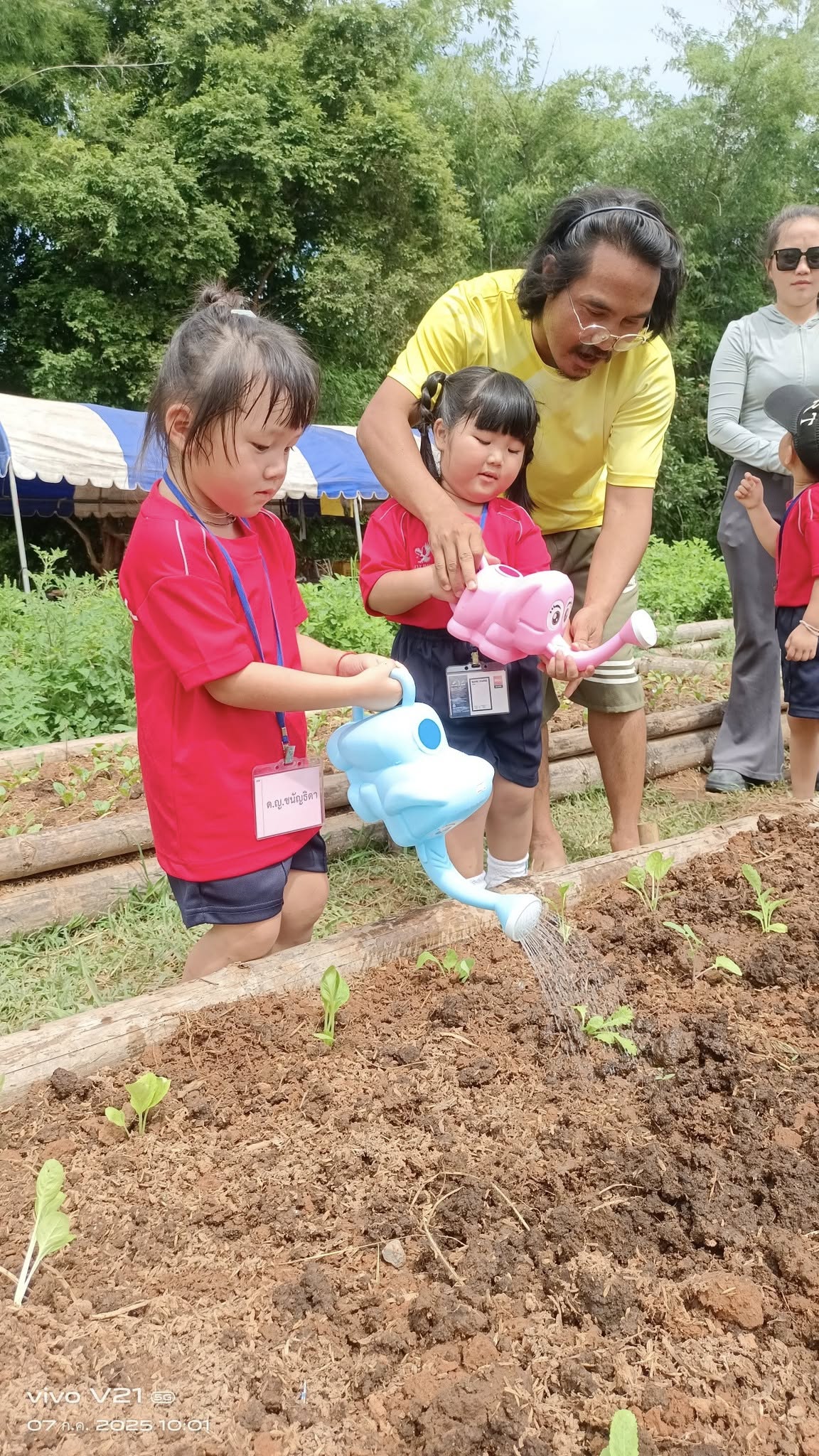 การปลูกผักในโรงเรือน