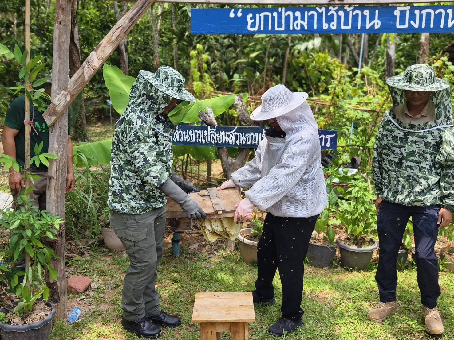🐝 ประสบการณ์จากผึ้ง @สวนตาเด่น