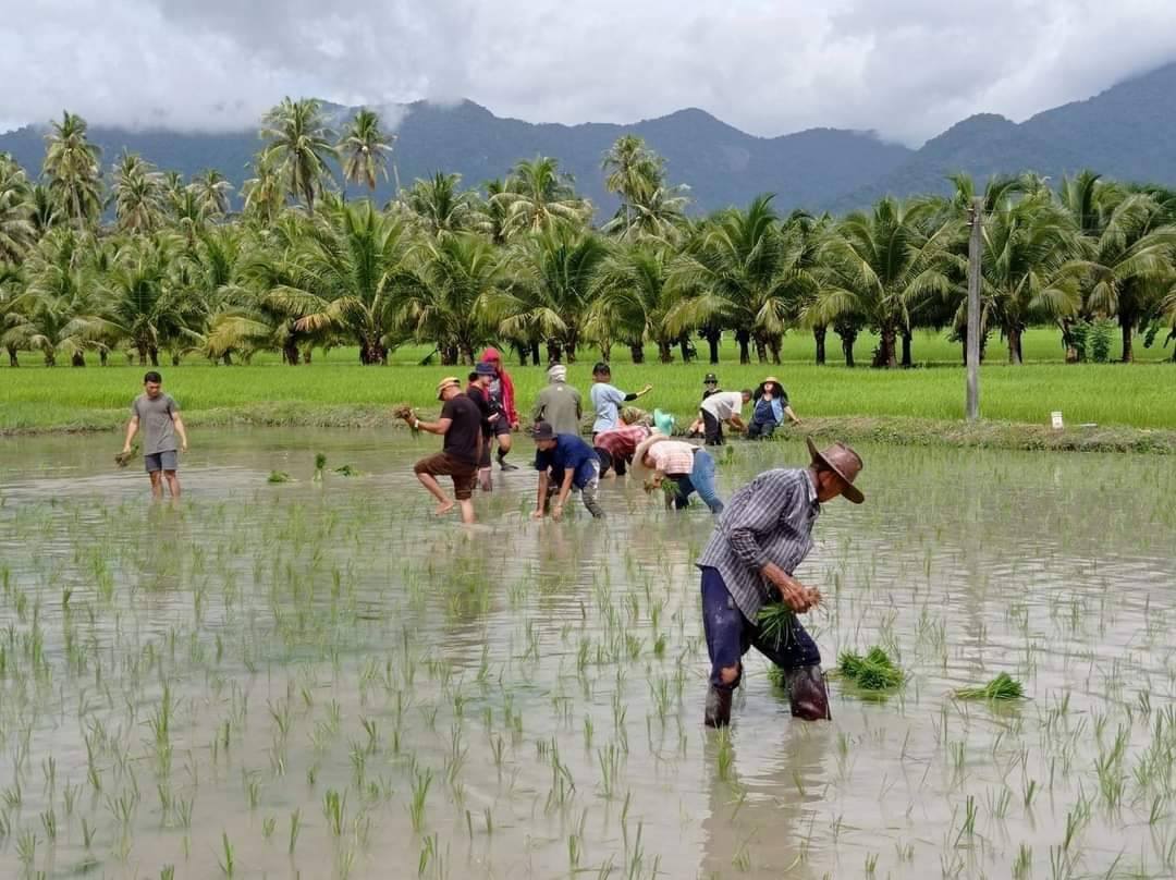 โปรแกรมท่องเที่ยว รู้ “คุณข้าว” Day trip