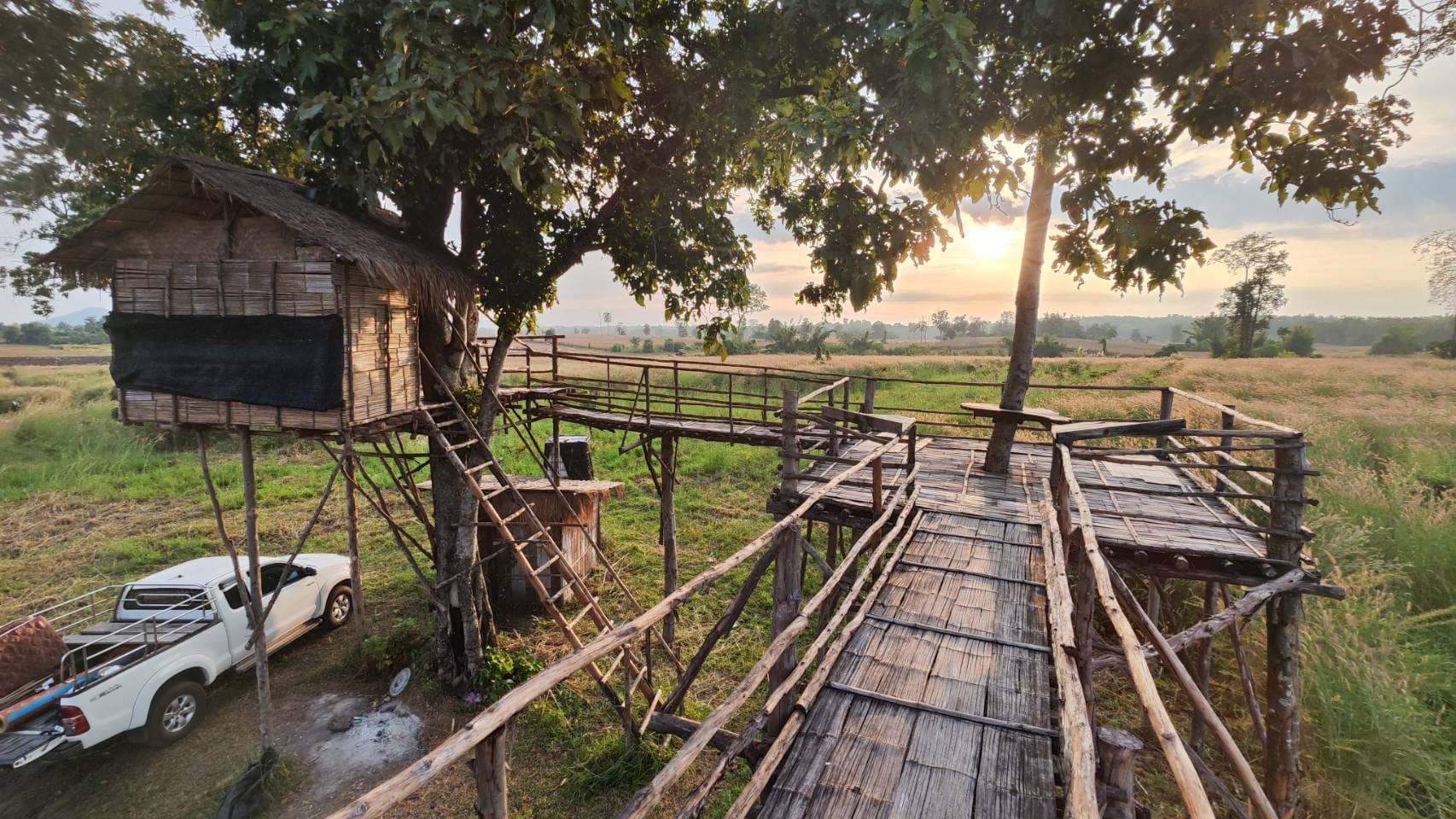 ล่องเรือ ส่องสัตว์