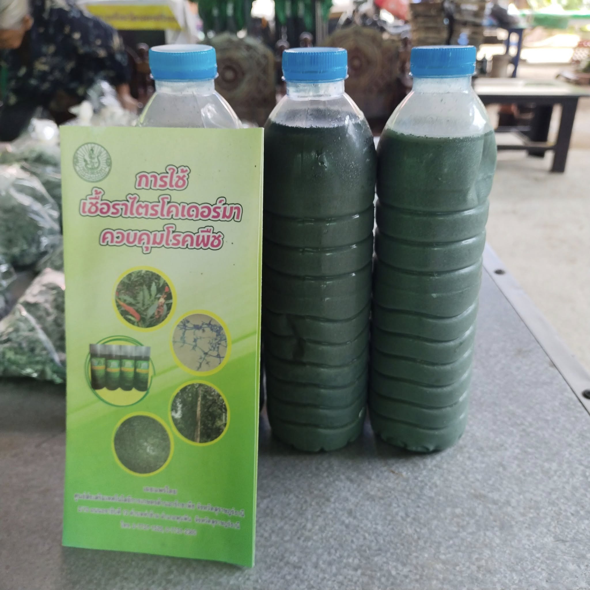 กิจกรรมฐานการเรียนรู้ “การผลิตสารชีวภัณฑ์และศัตรูธรรมชาติ”