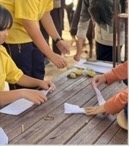 ฐานผ้ามัดย้อม