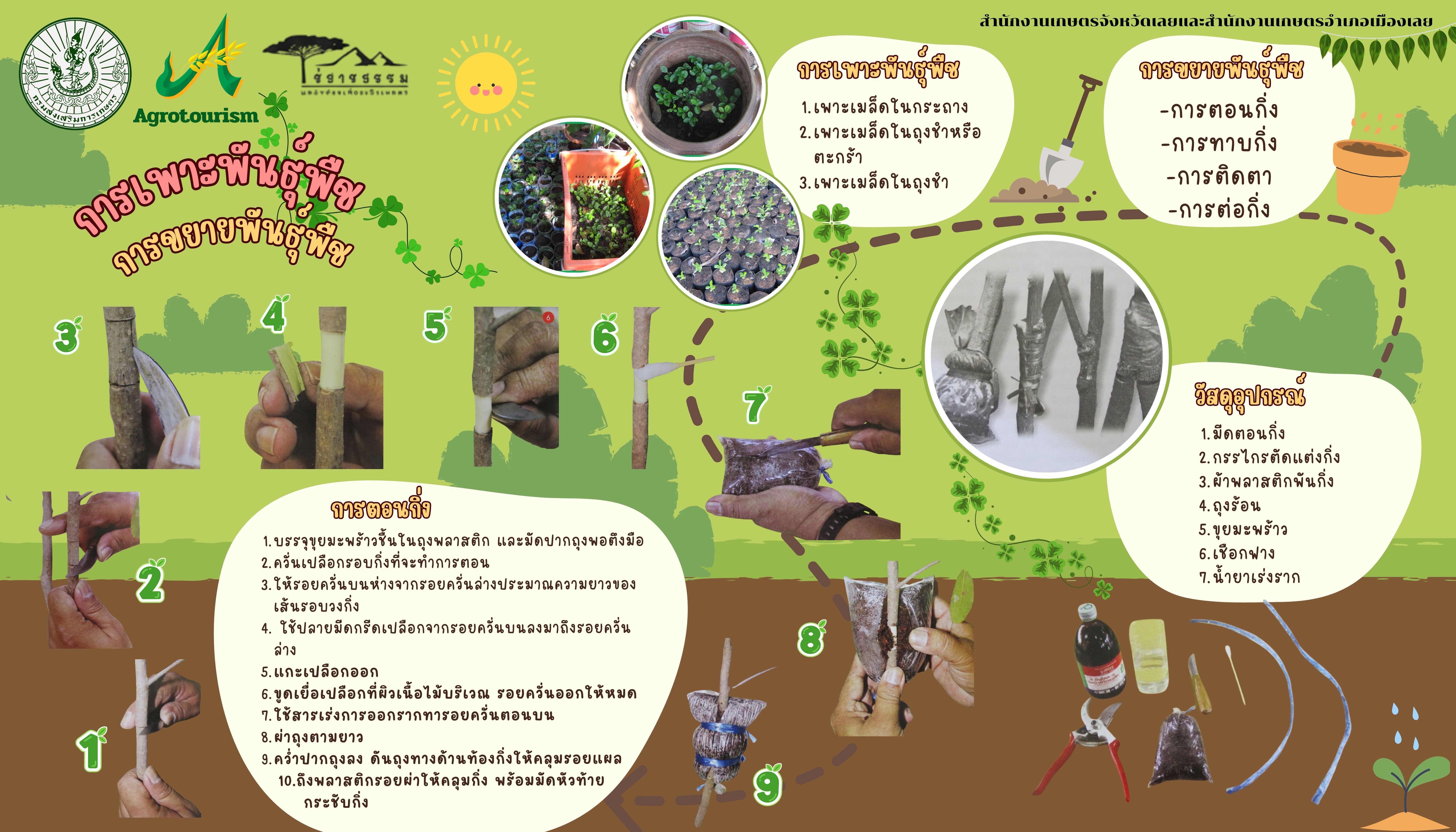 ฐานเพาะเมล็ดพันธุ์และขยายพันธุ์พืช