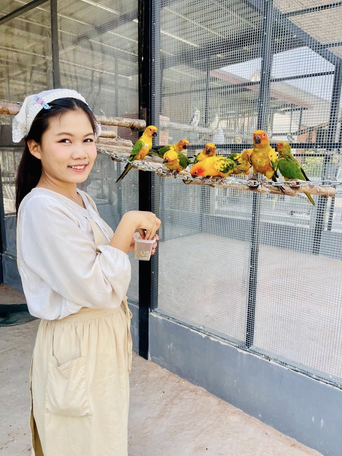 Mini Zoo สวนสัตว์ขนาดเล็ก