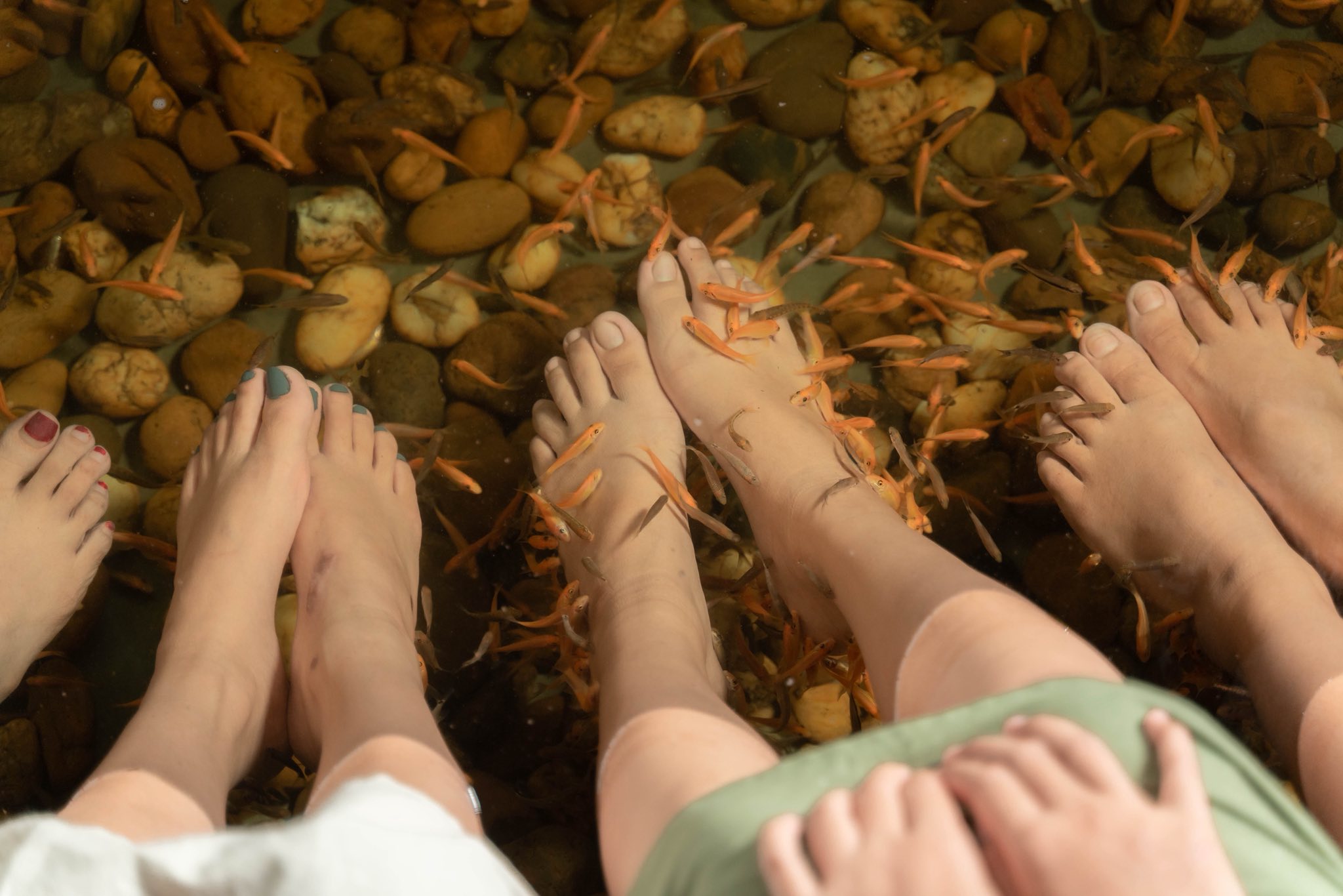 สปาเท้า โดย Fish spa “ฟิช กับ ฟิน”