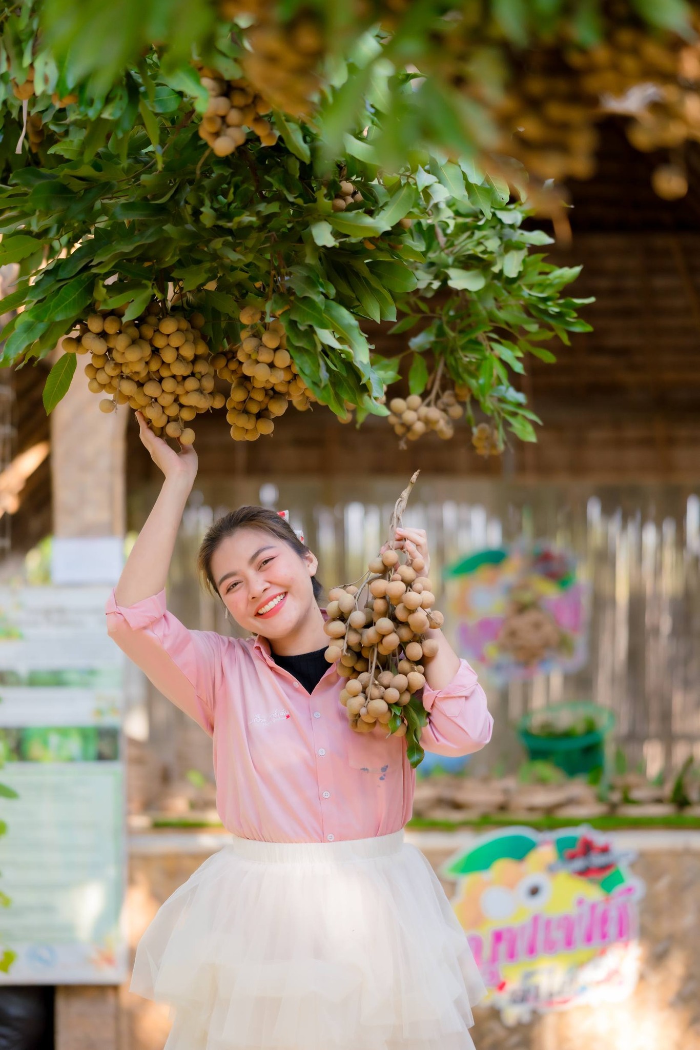 กินบุฟเฟ่ต์ลำไยไม่อั้น