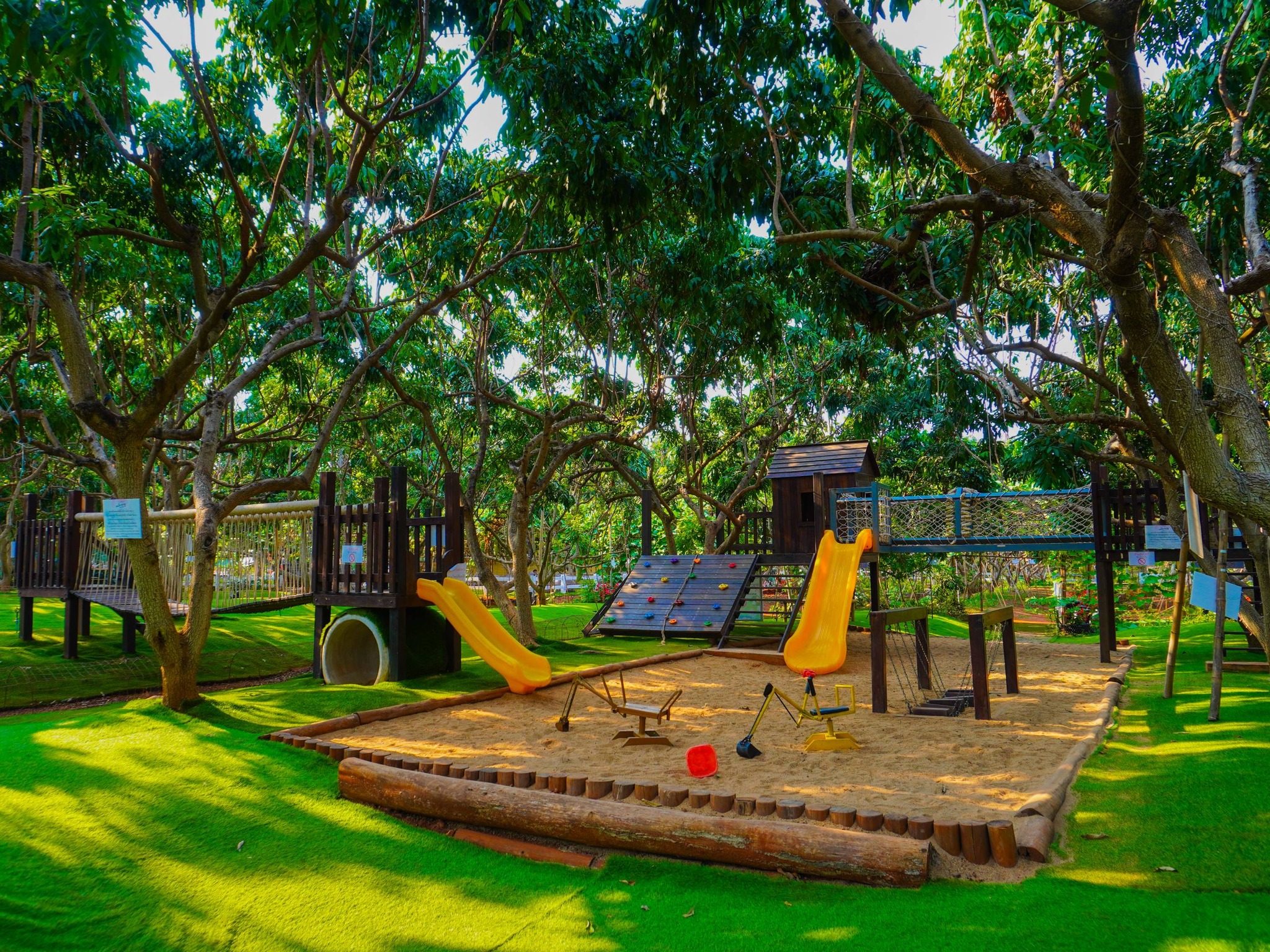 Mini Zoo และโซนเด็ก