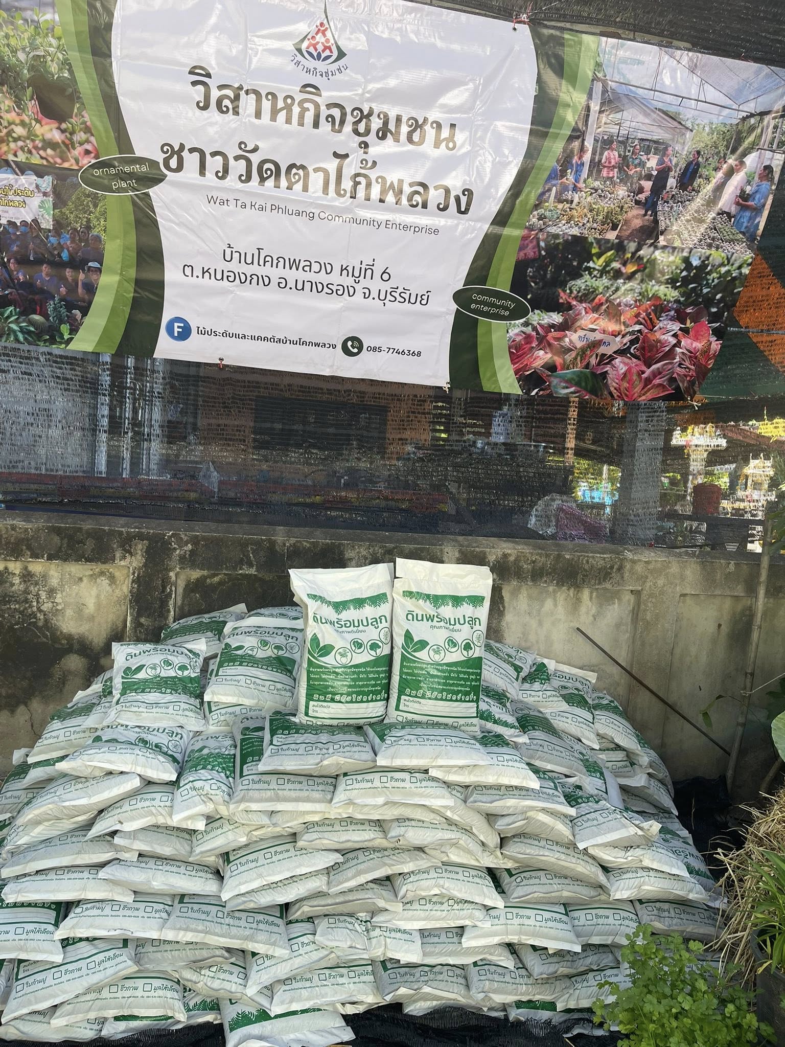 ช้อปเพลิน เดินชิลล์ : ตลาดต้นไม้แบบฟิน ๆ
