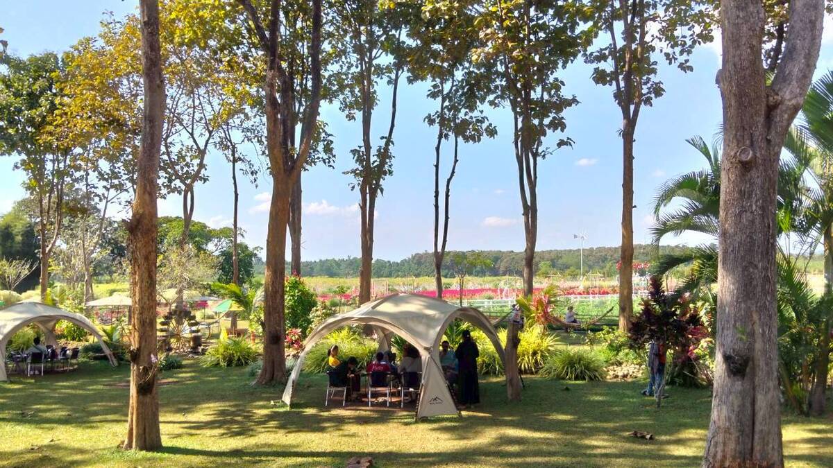 พักผ่อนหย่อนใจไปกับทุ่งดอกไม้และสายน้ำ