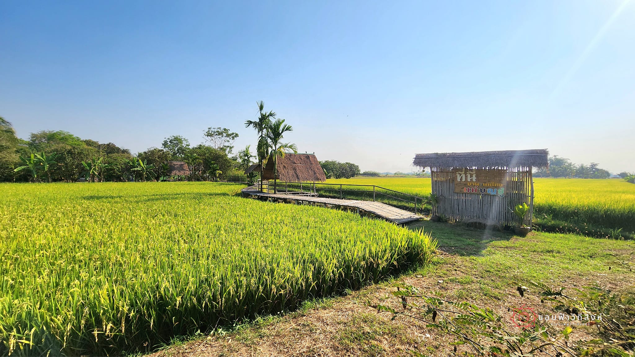 โฮมสเตย์บ้านดอนตะโหนด