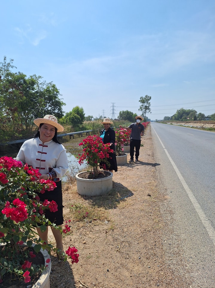 เส้นทางเดินเล่นชมวิถีชุมชน