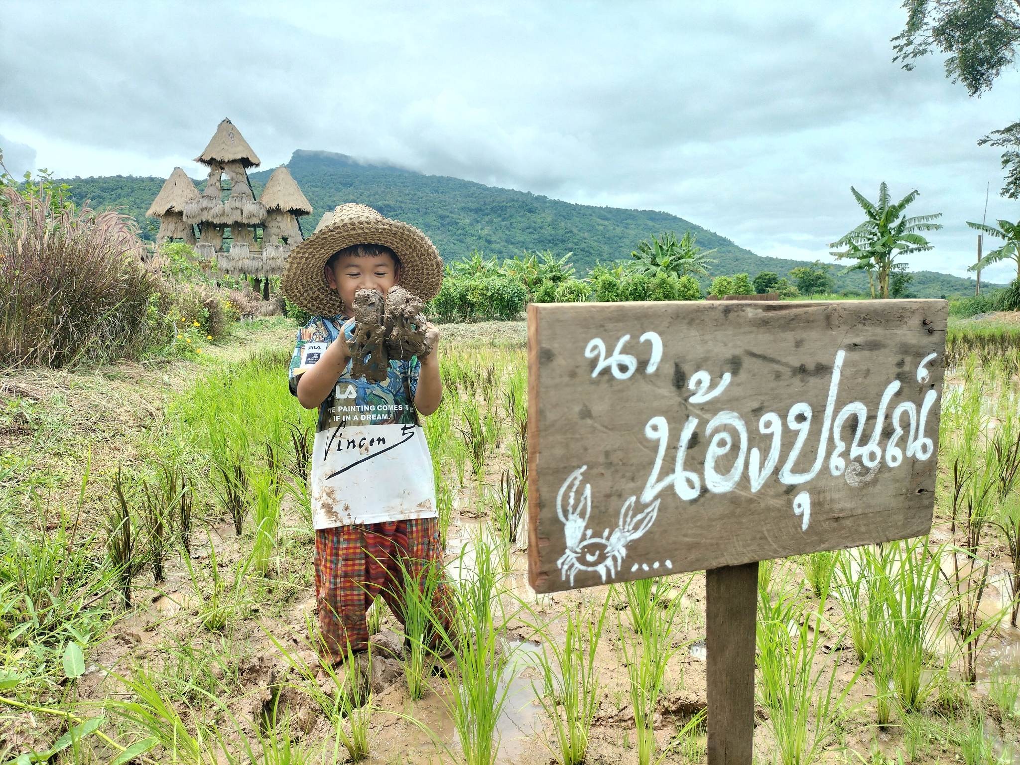 การปลูกป่า ดำนา