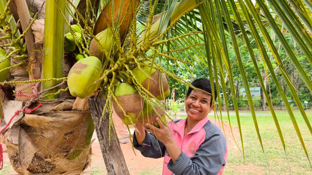 🥥 "สดจากต้น หวานจากธรรมชาติ ต้อนรับด้วยใจจากสวนตาเด่น" 🌿✨