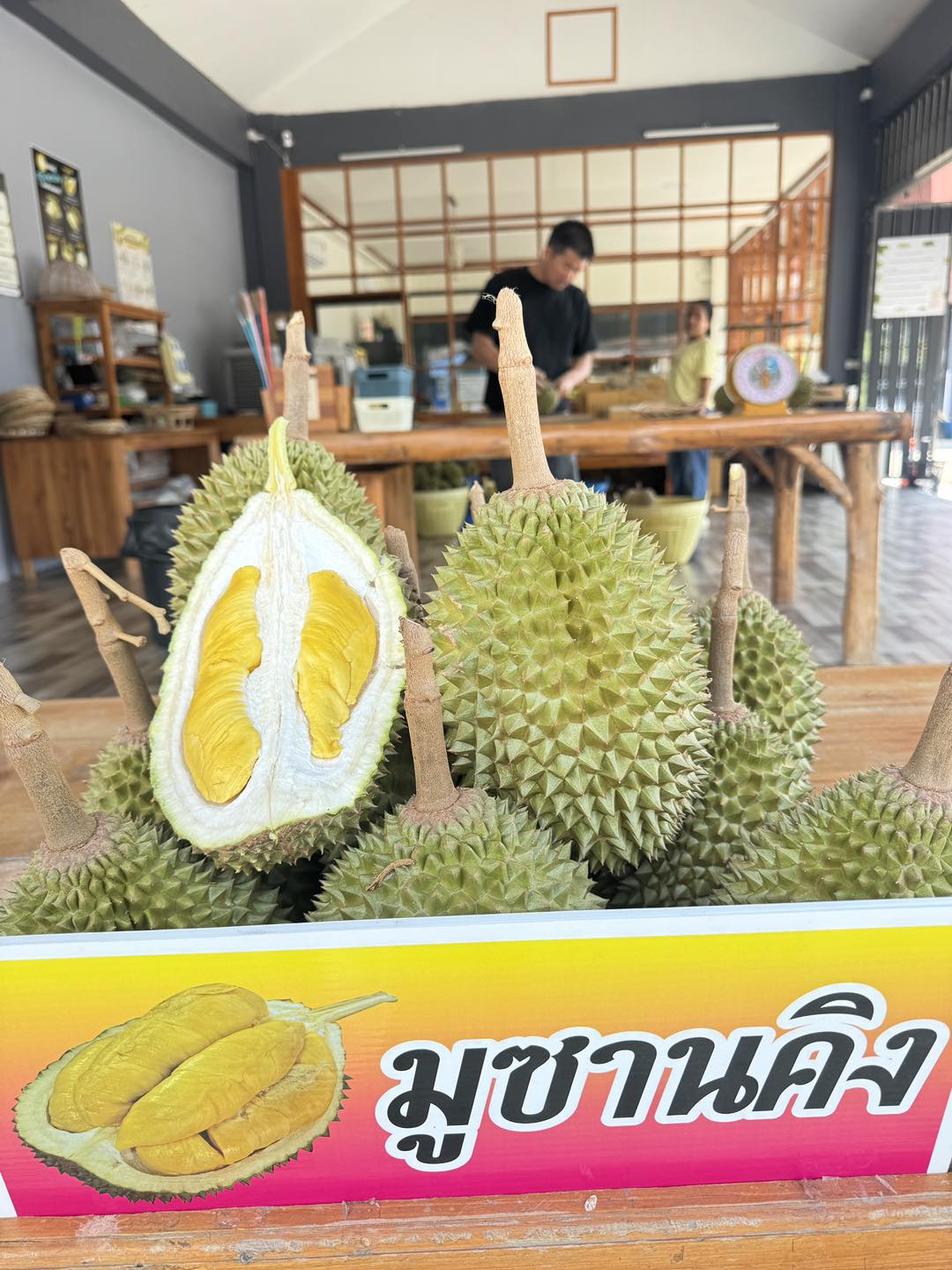 ทุเรียนหลงลับแล หลินลับแล หมอนทองลับแล และอีกหลากหลายสายพันธุ์ของอำเภอลับแล