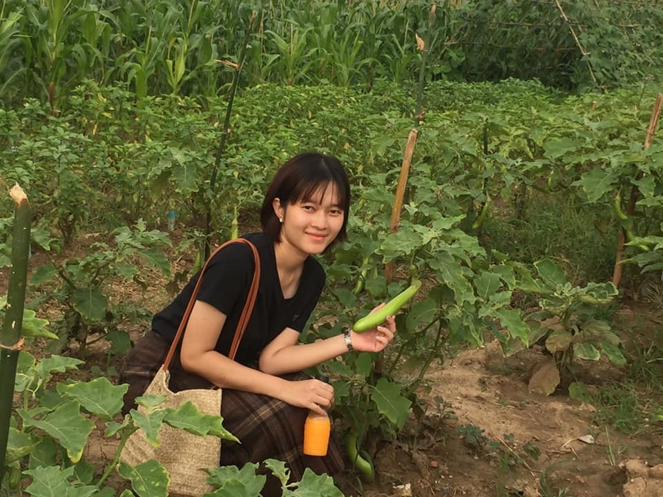 ผักปลอดสารพิษ