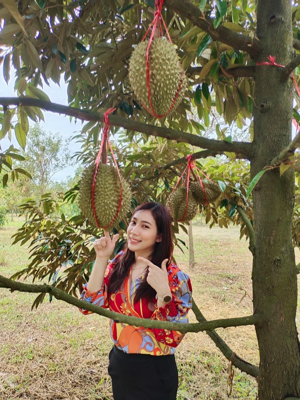 ทุเรียนภูเขาชะอม และผลไม้ตามฤดูกาล