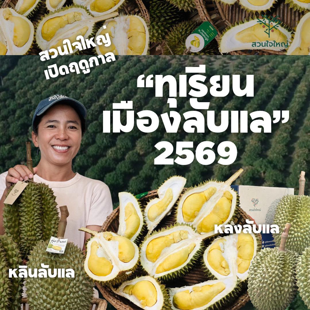 ทุเรียนหลงลับแล หลินลับแล หมอนทองลับแล และอีกหลากหลายสายพันธุ์ของอำเภอลับแล