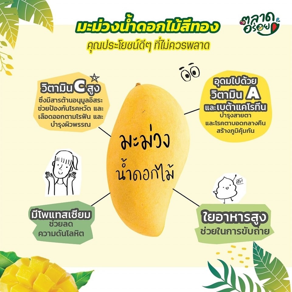 มะม่วงน้ำดอกไม้สีทอง