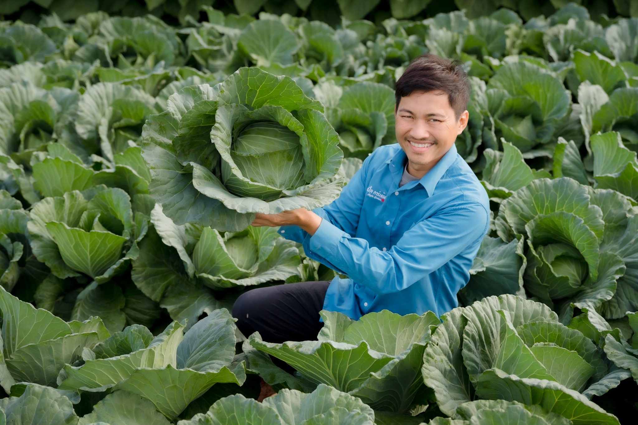 ผักสวนครัว ผลไม้ตามฤดูกาล และพืชผักปลอดสารพิษ