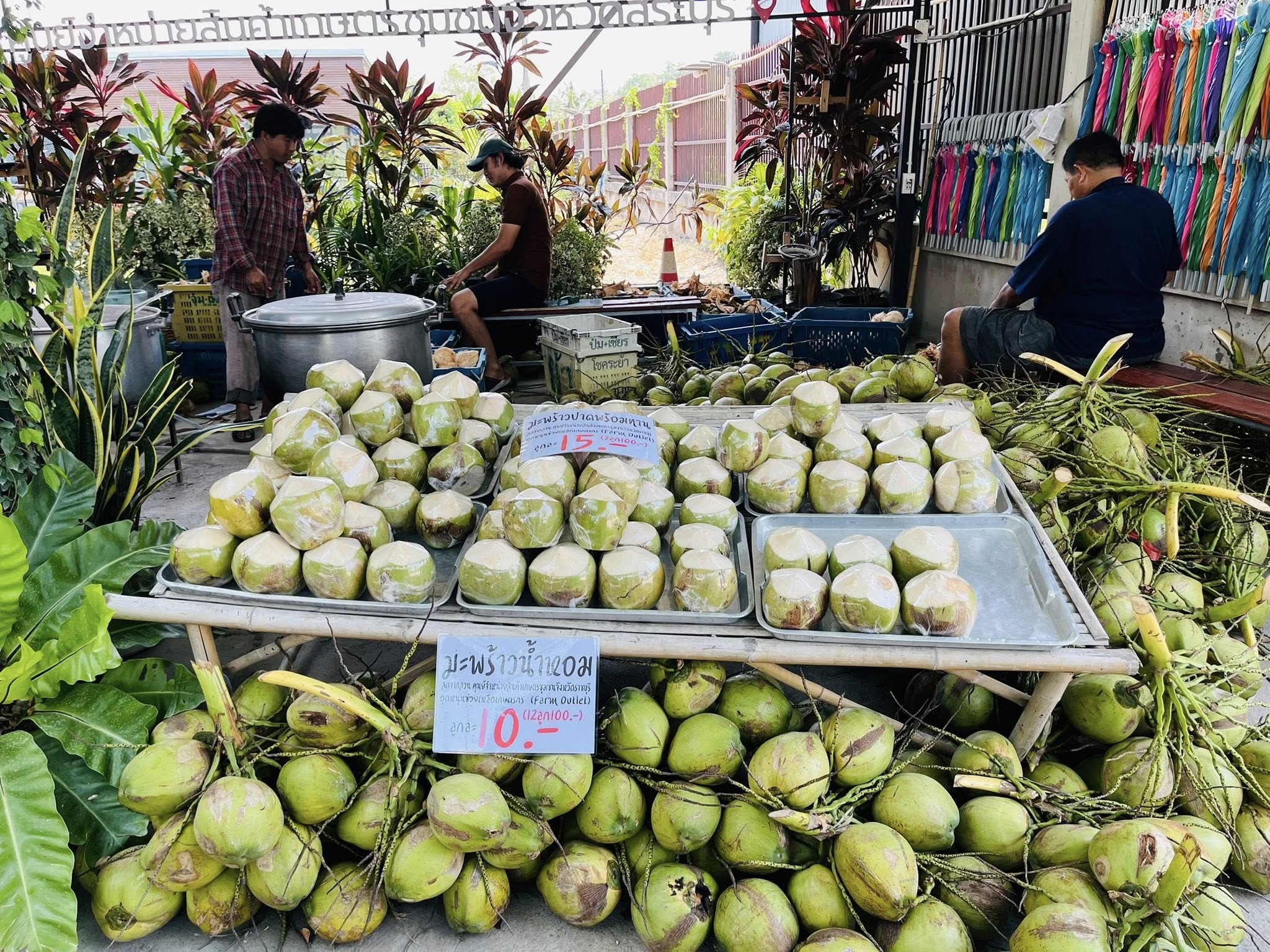 มะพร้าวน้ำหอม และผลิตภัณฑ์ชุมชน