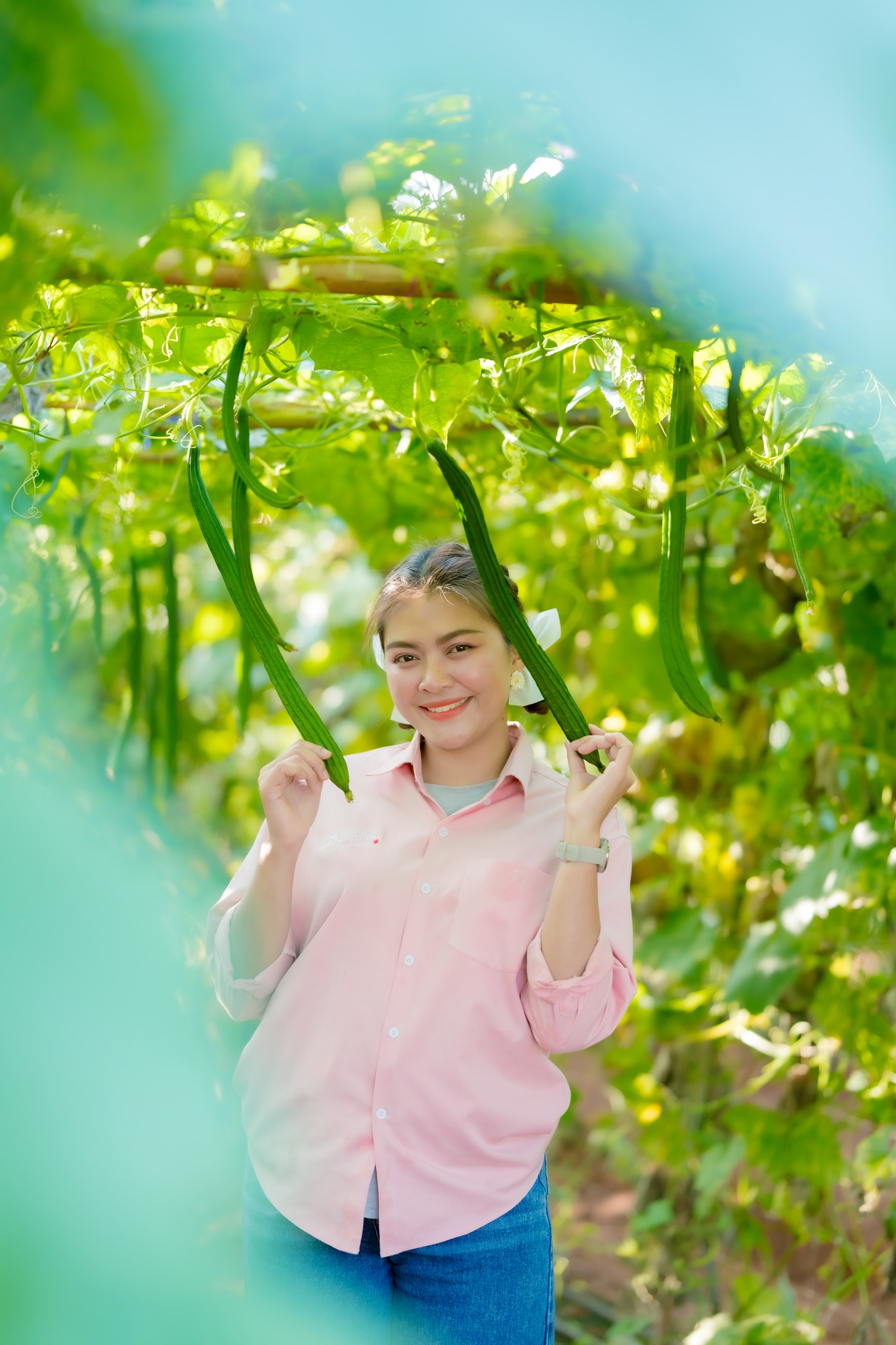 ผักสวนครัว ผลไม้ตามฤดูกาล และพืชผักปลอดสารพิษ