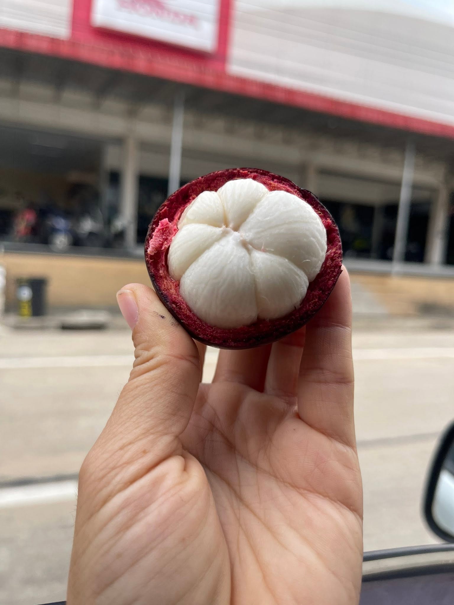 มังคุด
