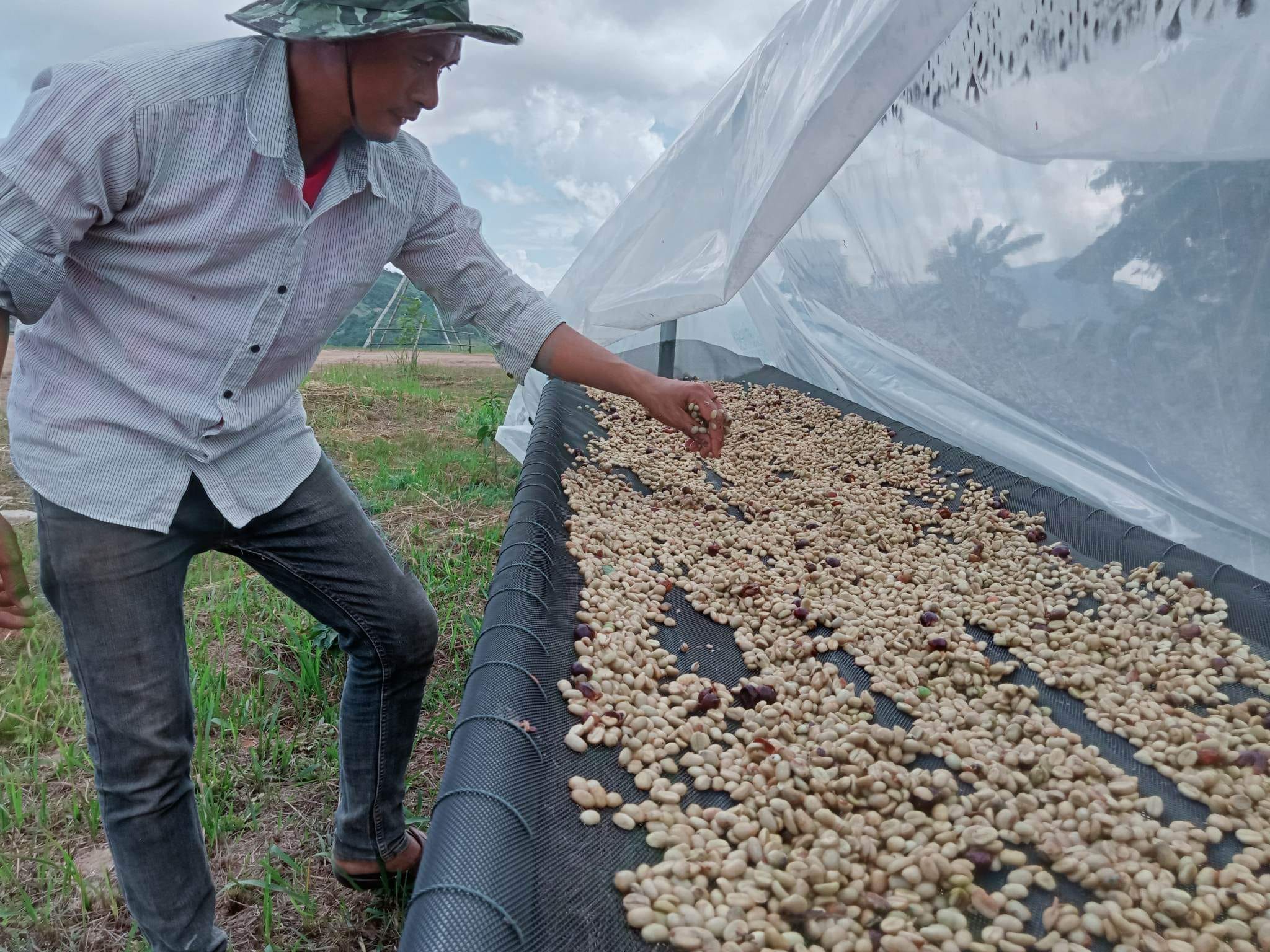 ภาพบรรยากาศ ไร่แฟนฉันกาแฟห้อยขา ลำดับที่ 5