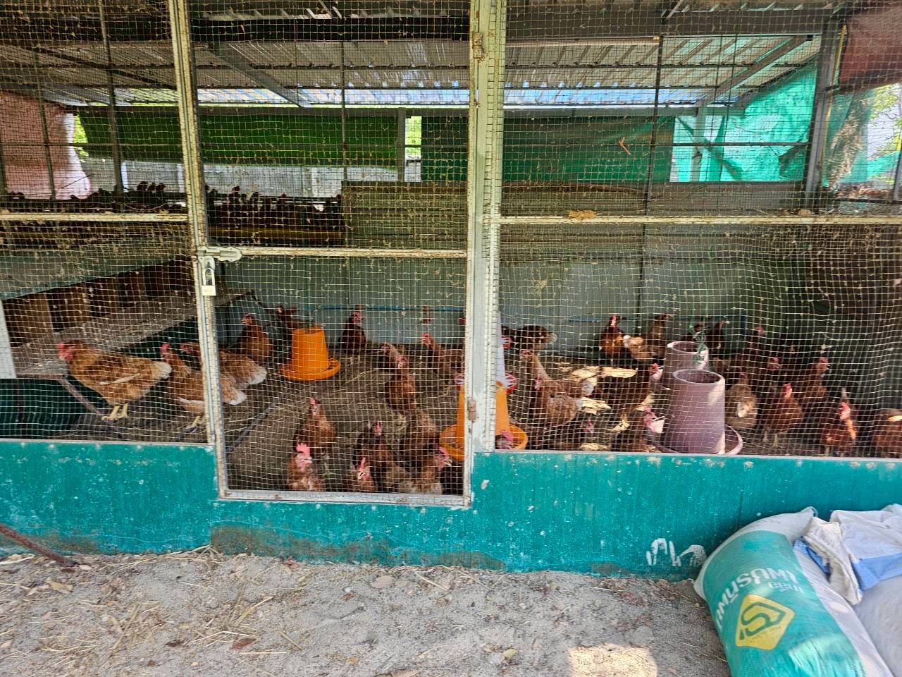 ภาพบรรยากาศ วิสาหกิจชุมชน บ้านสวนใจบุญ ลำดับที่ 11