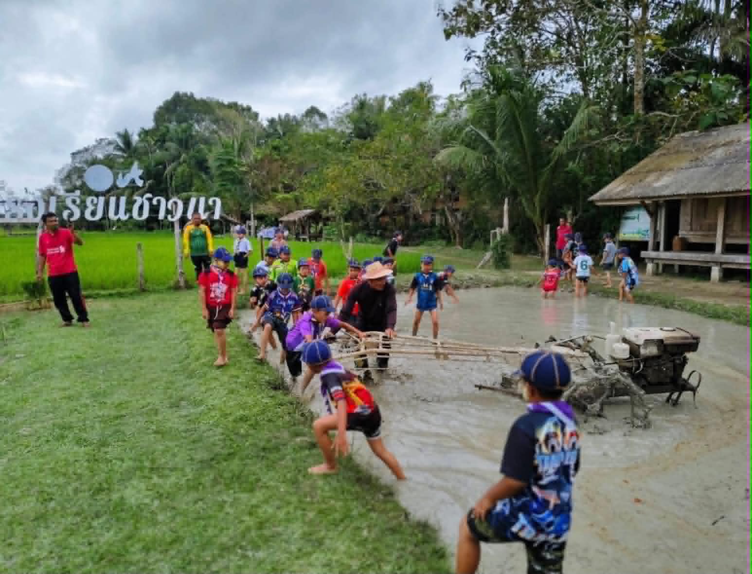ภาพบรรยากาศ วิสาหกิจชุมชนกลุ่มนาข้าวอินทรีย์บ้านเจ๊ะเหม (โรงเรียนชาวนา) ลำดับที่ 10