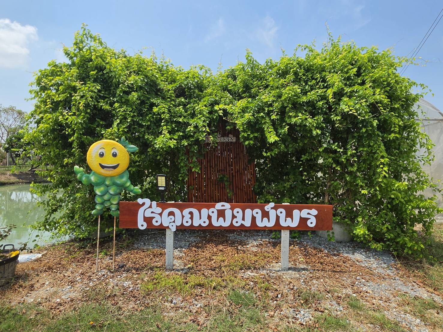 ภาพบรรยากาศ ไร่นาสวนผสมคุณพิมพ์พร ลำดับที่ 1