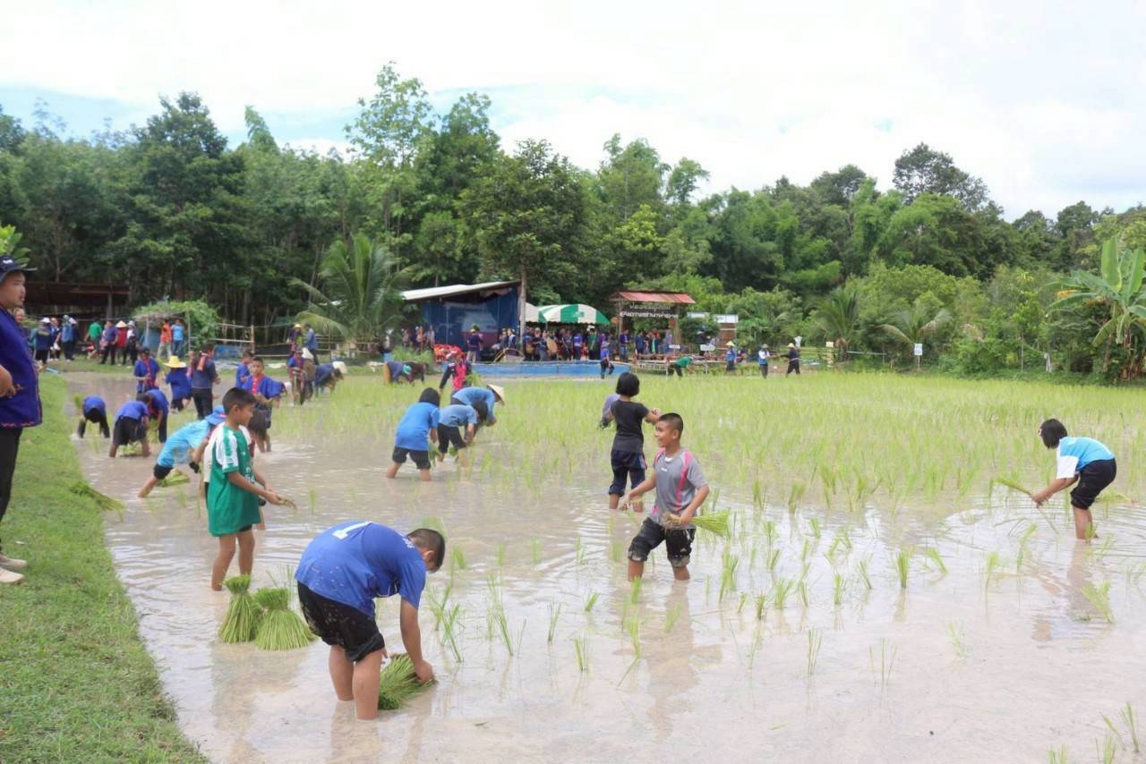 ภาพบรรยากาศ วิสาหกิจชุมชนท่องเที่ยวบ้านท่าลาด ลำดับที่ 10