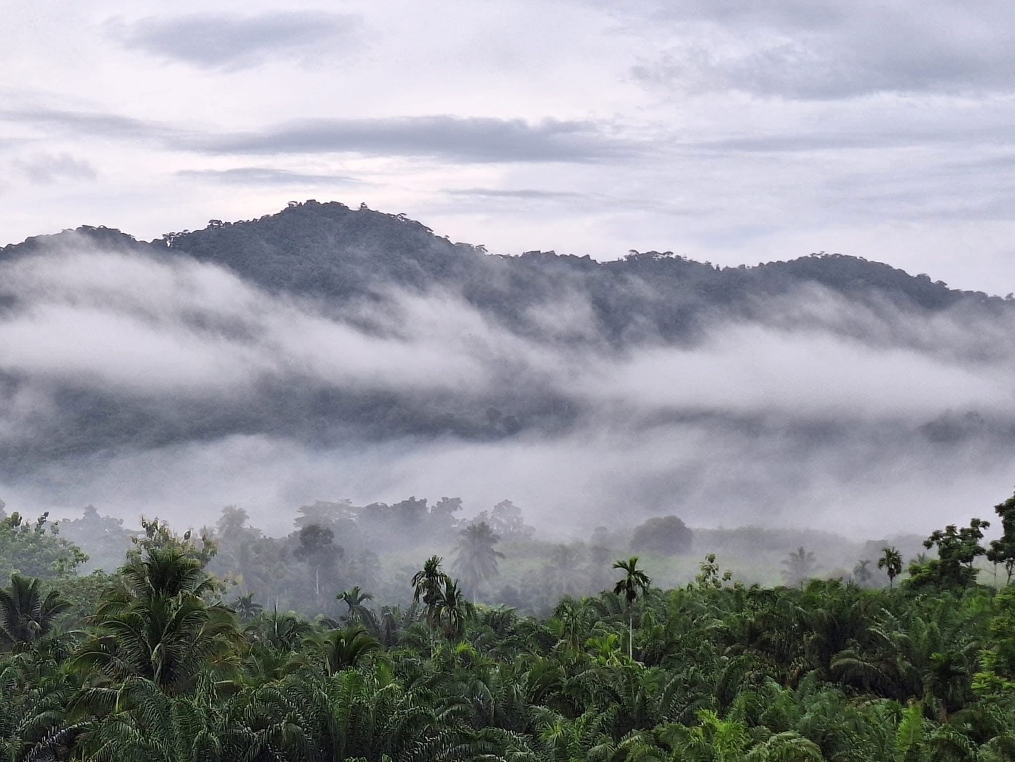 ภาพบรรยากาศ วิสาหกิจชุมชนล่องแก่งบ้านเขาหลัก ลำดับที่ 9