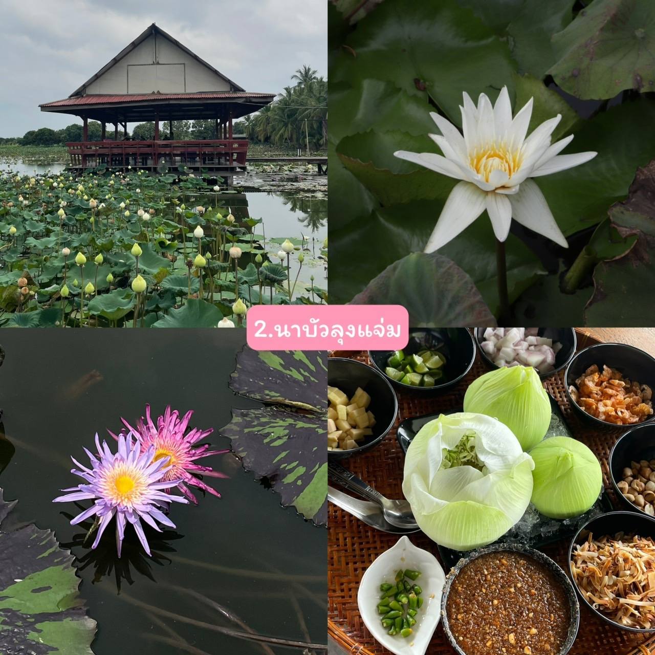 ภาพบรรยากาศ วิสาหกิจชุมชนล่องเรือชมสวนเลียบคลองมหาสวัสดิ์ ลำดับที่ 3