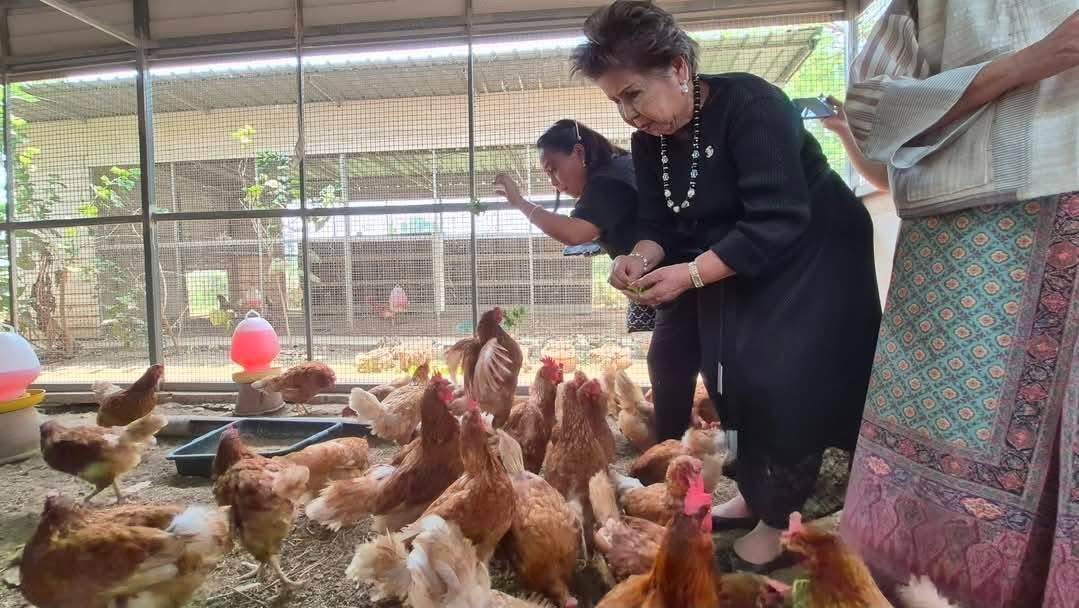 ภาพบรรยากาศ วิสาหกิจชุมชนริเช่ฟาร์ม ลำดับที่ 8
