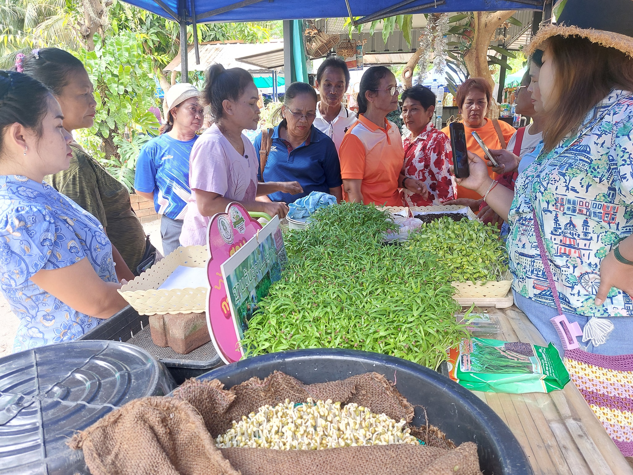 ภาพบรรยากาศ วิสาหกิจชุมชนบ้านท่าขามเกษตรพอเพียง ลำดับที่ 3