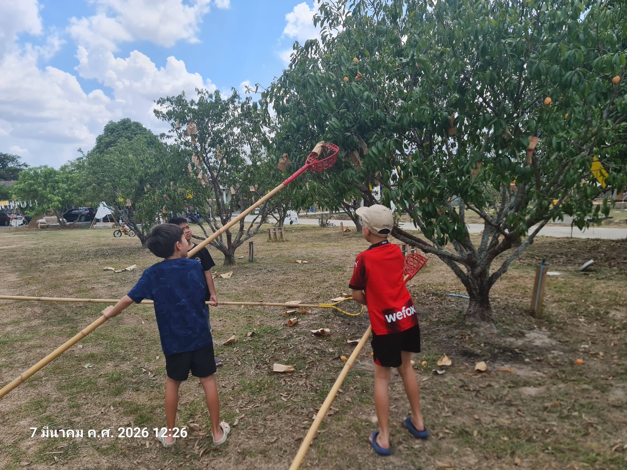 ภาพบรรยากาศ DooDo Backyard Farm ลำดับที่ 10