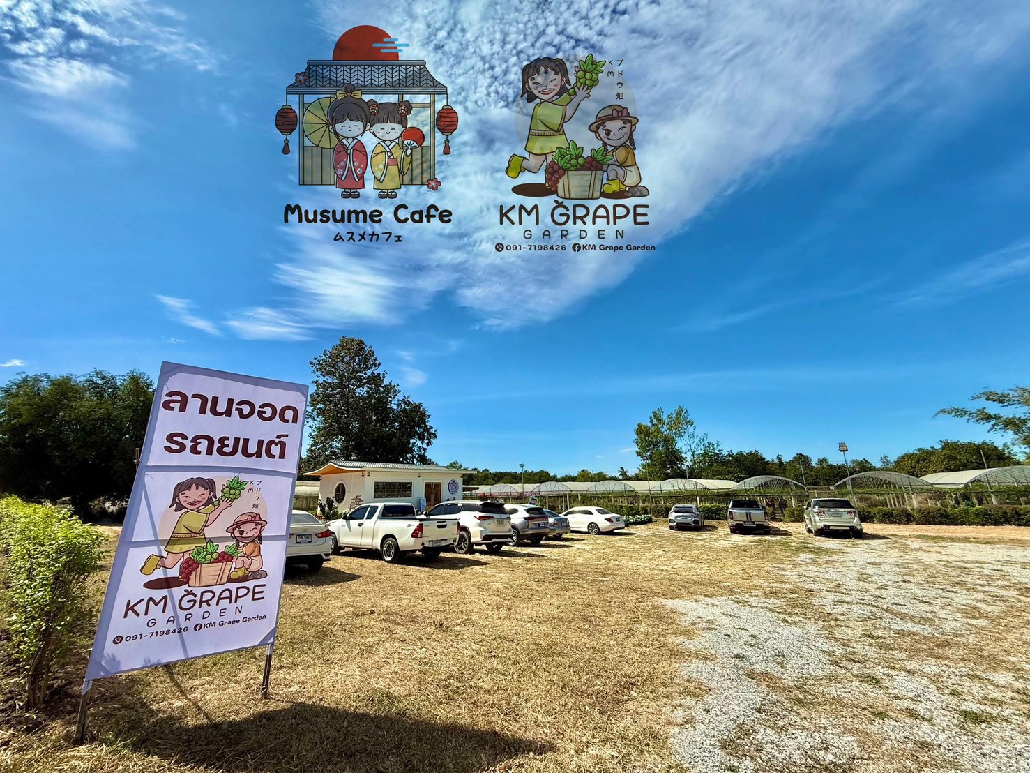 ภาพบรรยากาศ KM Grape Garden Mukdahan ลำดับที่ 1
