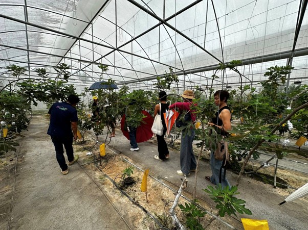 ภาพบรรยากาศ The FIGnature Garden ลำดับที่ 9