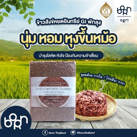 ภาพบรรยากาศ ศูนย์สาธิตวิสาหกิจชุมชนท่าช้างฟื้นฟูเศรษฐกิจ ลำดับที่ 4