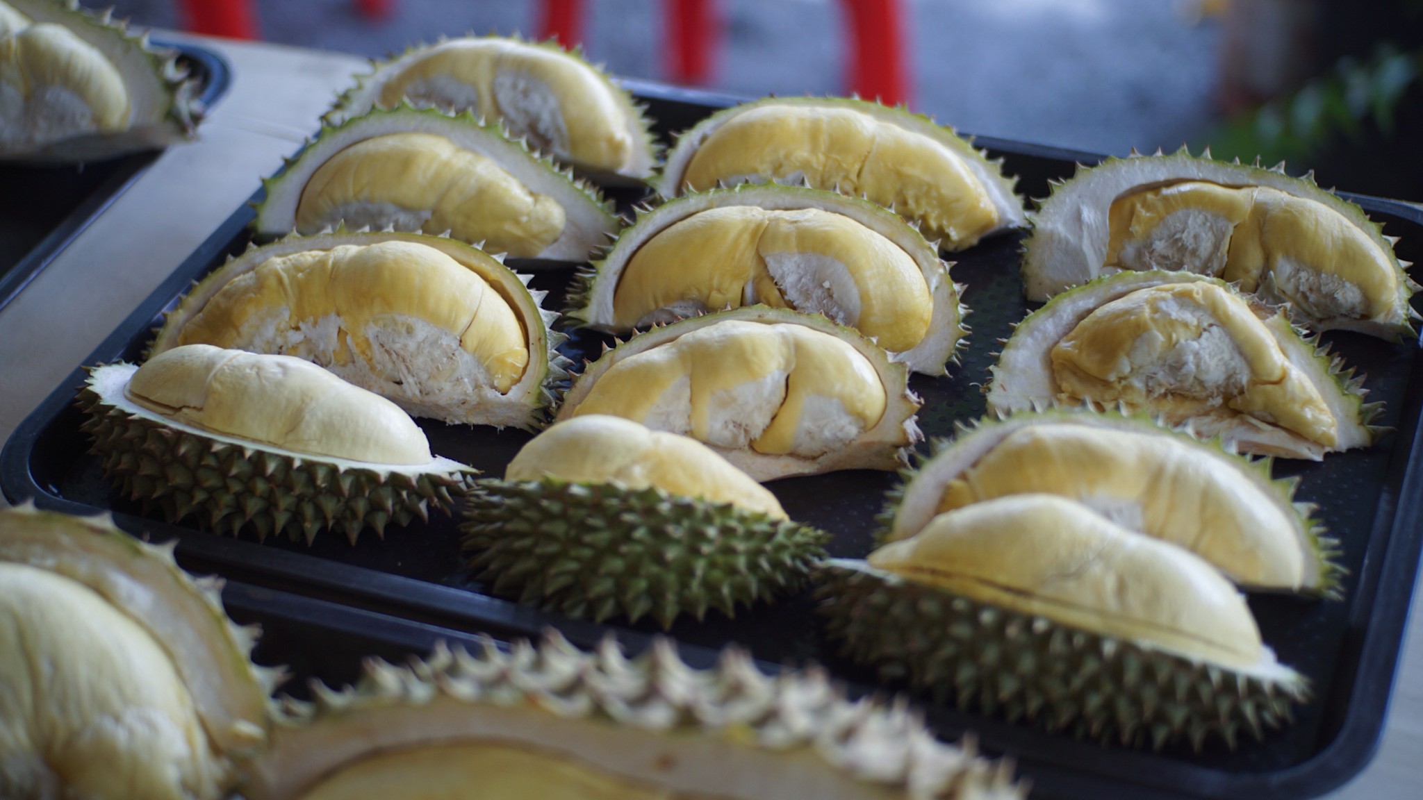 ภาพบรรยากาศ สวนผลอำไพ - Organic fruit ลำดับที่ 3