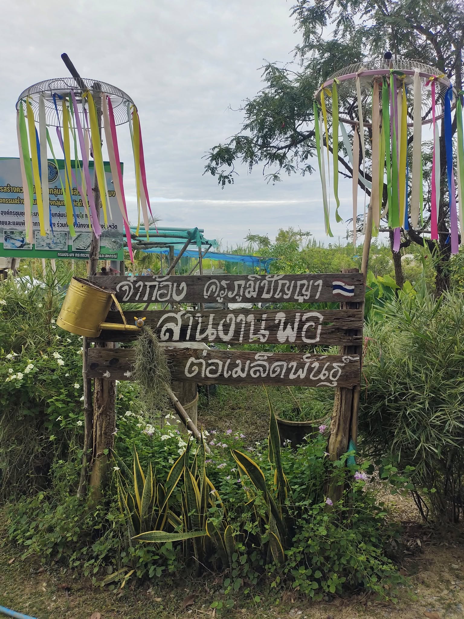 ภาพบรรยากาศ บ้านจ่าก้อง ลำดับที่ 5