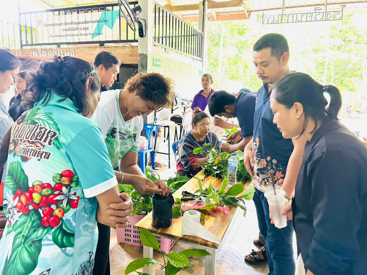 ภาพบรรยากาศ แหล่งท่องเที่ยวเชิงเกษตรวิสาหกิจชุมขนผลิตกาแฟพรีเมี่ยมกาแฟโรบัสต้า จ.สตูล ลำดับที่ 8