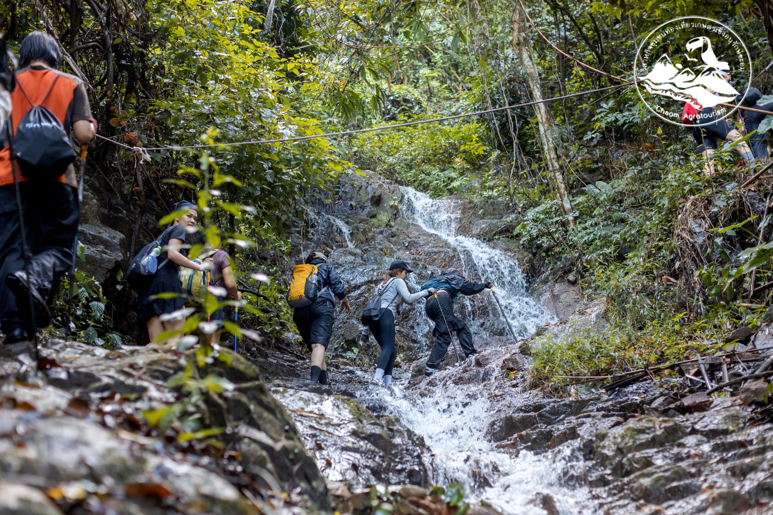 ภาพบรรยากาศ วิสาหกิจชุมชนท่องเที่ยวเกษตรเชิงอนุรักษ์ชะอม ลำดับที่ 4