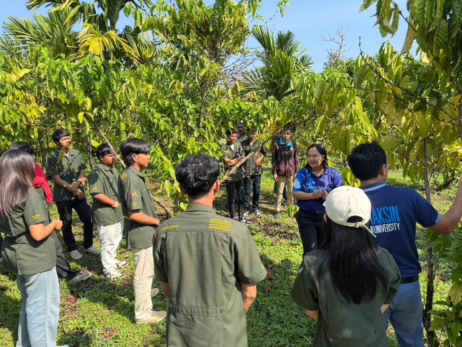 ภาพบรรยากาศ แหล่งท่องเที่ยวเชิงเกษตรวิสาหกิจชุมขนผลิตกาแฟพรีเมี่ยมกาแฟโรบัสต้า จ.สตูล ลำดับที่ 7