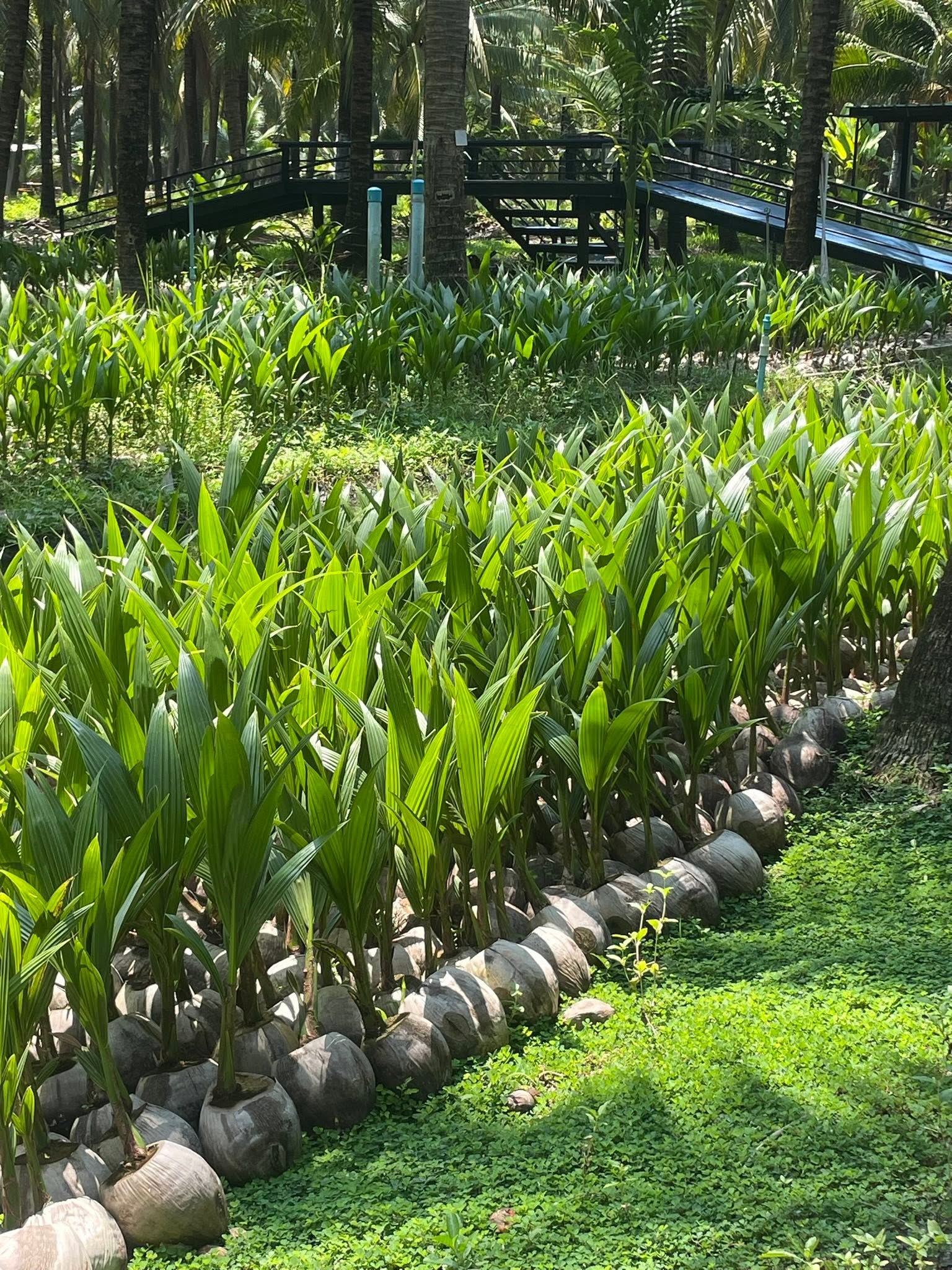 ภาพบรรยากาศ วิสาหกิจชุมชนท่องเที่ยวเชิงเกษตร ตำบลหนองสองห้อง ลำดับที่ 5